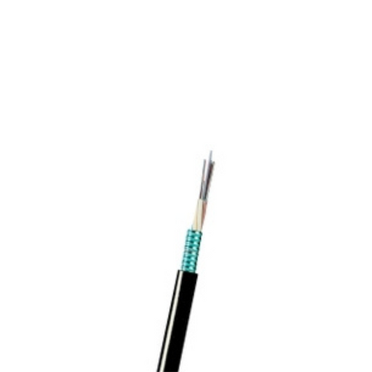 Schneider ACTUDSLLA96SM9 ,FO CABLE